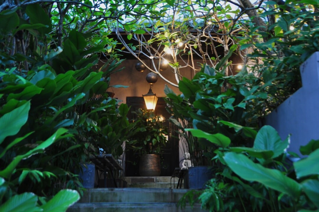 hidden garden in luxury villa