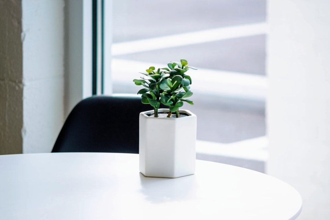 Stylish office desk with telephone and plant near a window